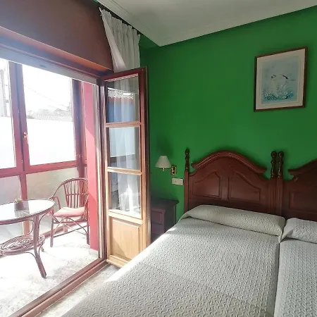 Palmeras Celorio (Llanes)