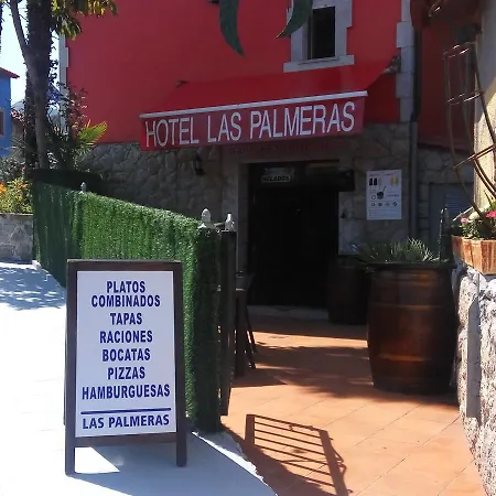 Palmeras 셀로리오