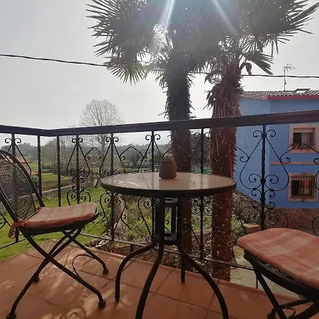 Palmeras