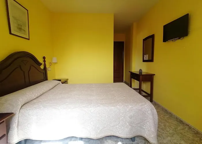 Palmeras Celorio (Llanes)