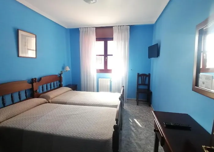 Palmeras Celorio (Llanes)