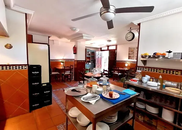 Palmeras Celorio (Llanes)